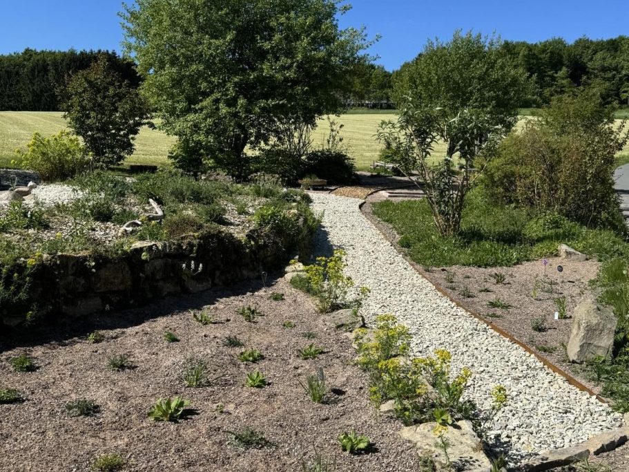 Gartenlandschaft mit Kiesweg, umgeben von Pflanzbeeten und Bäumen, unter blauem Himmel.